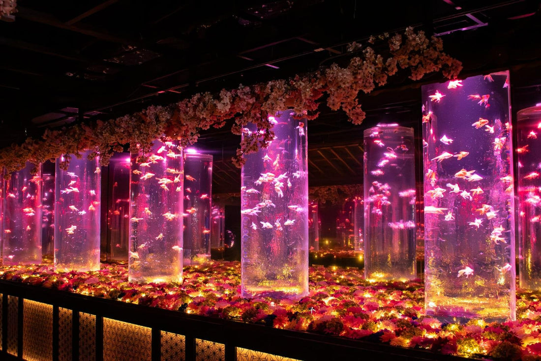 Cherry Blossoms & Goldfish: Spring Art Aquarium Experience in Ginza