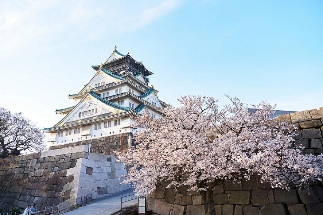 Osaka Castle Sakura Festival 2026｜Night Cherry Blossoms & Hanami BBQ Guide