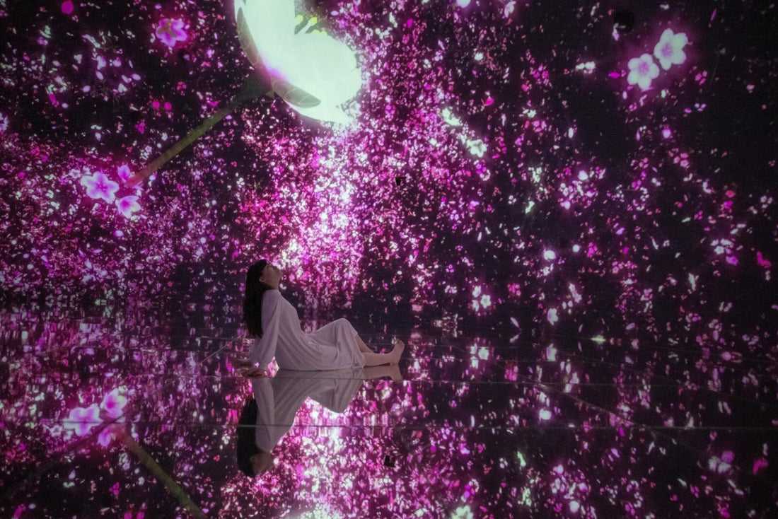 teamLab Planets Cherry Blossom Art 2026: Immersive Sakura Universe in Tokyo