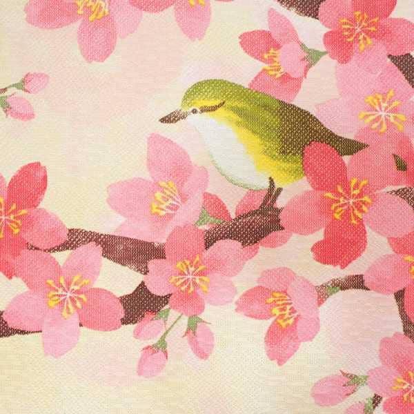 Made in Japan Sakura Cherry Blossom and Bird Noren Door Curtain Japan Version