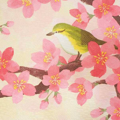 Made in Japan Sakura Cherry Blossom and Bird Noren Door Curtain Japan Version